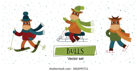 Vector Set of bulls. Funny bulls play winter games: skiing,  sledding, ice skating. The bull is a symbol of the new year 2021.