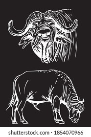 Vector set of bulls isolated on black, mammal animals