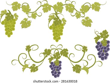 Vector set of bunches of grapes.