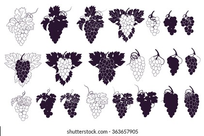 Vector set of bunches of grapes.