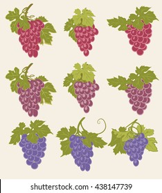 Vector set of bunches of grapes. A set of bunches of grapes of different colors.