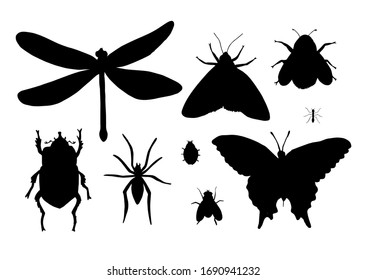 Vector set bundle of black sketch insects silhouette isolated on white background