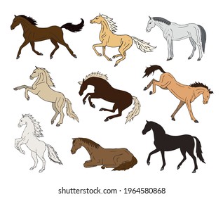 Vector set bundle of different color hand drawn doodle sketch horse isolated on white background