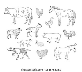 118,042 Domestic animals set isolated Images, Stock Photos & Vectors ...