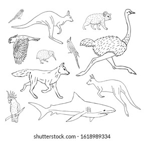 Vector set bundle of hand drawn doodle sketch Australian wild animals isolated on white background
