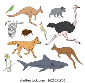 Vector set bundle of hand drawn doodle sketch colored Australian wild animals isolated on white background