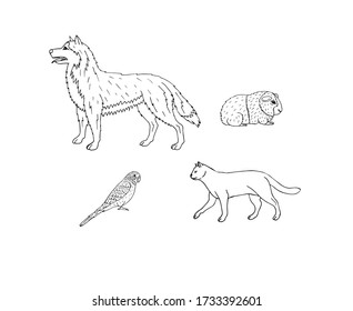 Vector set bundle of hand drawn doodle sketch pets animals isolated on white background