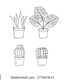 Vector set bundle of hand drawn doodle sketch monstera plant and cactus in pots isolated on white background