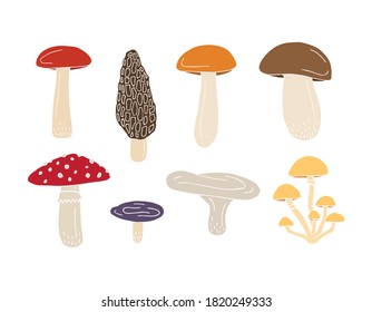 Vector set bundle of hand drawn doodle sketch colored mushroom isolated on white background