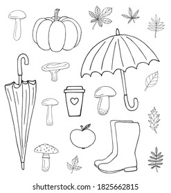 Vector set bundle of hand drawn doodle sketch autumn elements isolated on white background