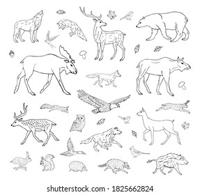 Forest Animals Silhouettes Vintage Illustration Line Stock Illustration ...