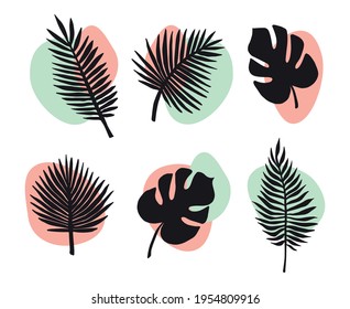 Vector set bundle of hand drawn palm and monstera leaf silhouette and abstract dot isolated on white background