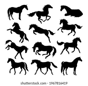 Vector set bundle of hand drawn horse silhouette isolated on white background