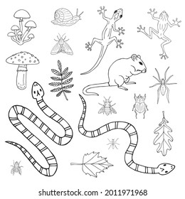 Vector set bundle of hand drawn doodle sketch forest animal rodent reptiles and insects isolated on white background