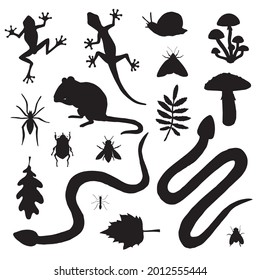 Vector set bundle of hand drawn forest animal rodent reptiles and insects silhouette isolated on white background