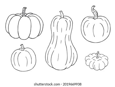 Vector set bundle of hand drawn doodle sketch pumpkin isolated on white background