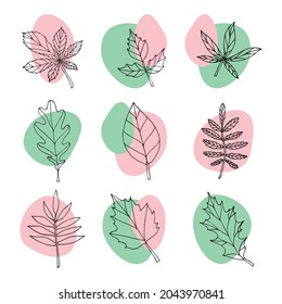 Vector set bundle of hand drawn doodle sketch leaves and abstract dots isolated on white background