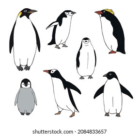 Vector set bundle of hand drawn doodle sketch colored penguin isolated on white background