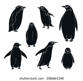 Vector set bundle of hand drawn doodle sketch black penguin isolated on white background