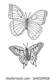 Vector set bundle of two hand drawn doodle sketch butterfly isolated on white background