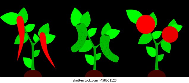 Vector set of bushes and chilli peppers, tomatoes and cucumbers