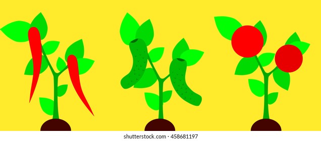 Vector set of bushes and chilli peppers, tomatoes and cucumbers