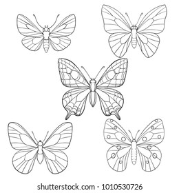 vector set of butterflies, hand drawn illustration
