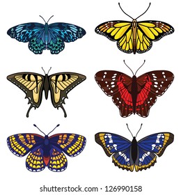 Vector set with butterflies isolated on white background