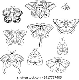 Vector set of Butterflies and moths. Bohemian linear logos, esoteric symbols. Alchemical mystical magic elements for prints, posters, illustrations and patterns. Magic aesthetics.