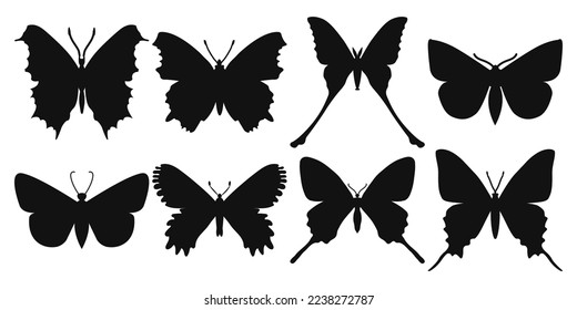 Vektor-Schmetterlinge auf weißem Hintergrund, Zierinsekt zeichnen, Silhouetten-handgezeichnet, einzelne Vektorgrafik