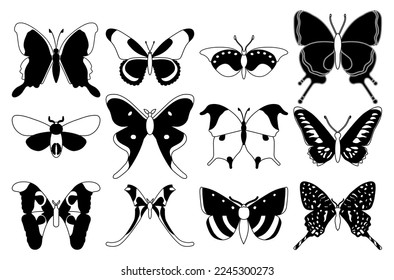 Vector set butterflies on a white background, drawing decorative insect, silhouettes hand draw, isolated vector