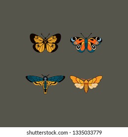 Vector set of butterfly in a flat style isolated on background