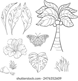 Vector set - butterfly monarch, palm and leaves. Bright flower. Spring and tropical cartoon butterfly. Isolated. Black silhouette for circuit