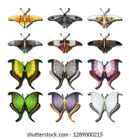 Vector Set of Butterfly. Objects Wildlife. Decorative Objects Isolated On Background