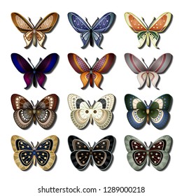 Vector Set of Butterfly. Objects Wildlife. Decorative Objects Isolated On Background