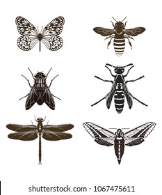 Vector set of butterfly silhouettes, fly, bee, wasp, dragonfly and moth isolated on white background. Insects.