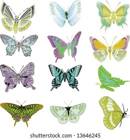 vector Set of butterflys