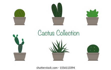 Vector set of cacti. Cactus Collection, Decorative natural element. Flat design. Isolate on white background