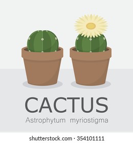 Vector set of cacti, Cactus and succulent plants, Astrophytum myriostigma