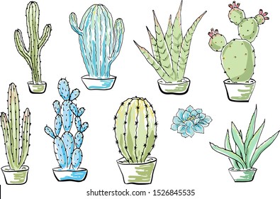 Vector set of cacti. Cartoon colored isolated objects on a white background. Multicolored hand drawn illustration.