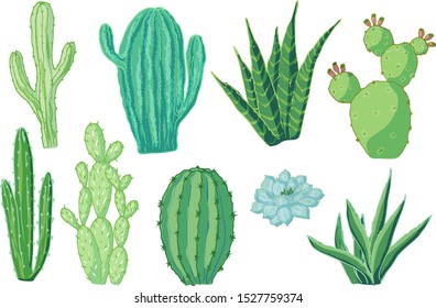 Vector set of cacti. Cartoon colored isolated objects on a white background. Multicolored hand drawn illustration.