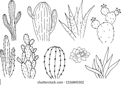 Vector set of cacti. Cartoon monochrome isolated objects on a white background. Linear hand drawn illustration.