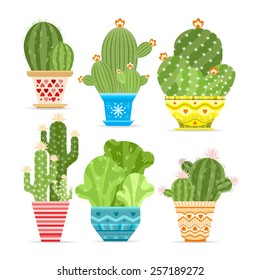 Vector set of cacti. Object isolated on white background.