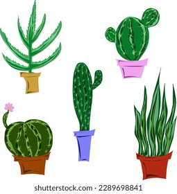 Vector set of cacti in pots, freehand drawing, flat design, elements for design, home plants