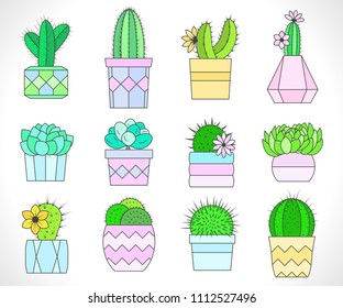 Vector set of cacti and succulents in flower pots. Flat style. Colored collection.