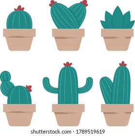 Vector set of cactus and aloe. Collection of plants. Decorative natural elements are isolated on white. 