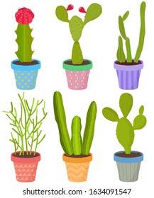 Vector set of cactus cacti aloe succulent plants in pot. Collection of flat styled hand drawn exotic houseplant. Cute illustration isolated on white. Beautiful design elements. 