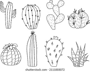 Vector set of cactus collections
