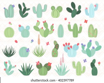 Vector Set of Cactus and Succulent Plants