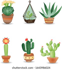 Vector set of cactus and succulents set.Cute green cactus in flower.Vector illustration eps10.